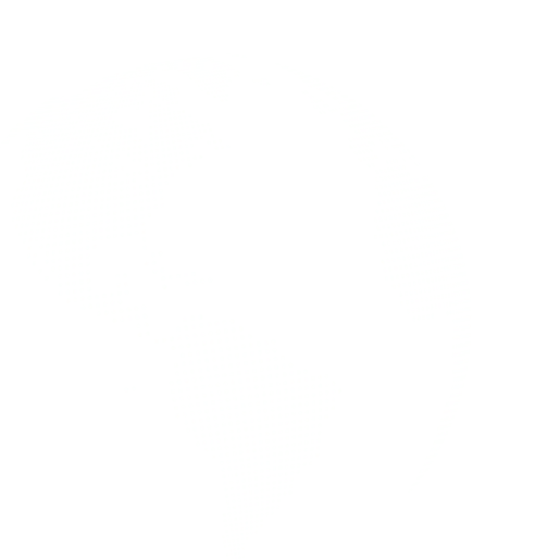 Decorative globe graphic